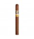 Cohiba Exquisitos