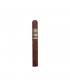 Casa Magna Colorado Corona