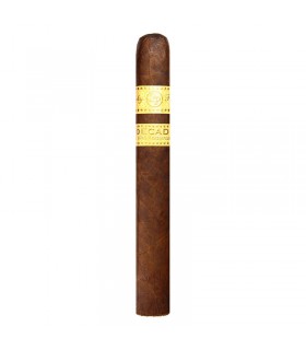 Rocky Patel Decade Toro Tubos