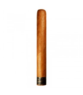 Rocky Patel The Edge Connecticut Toro