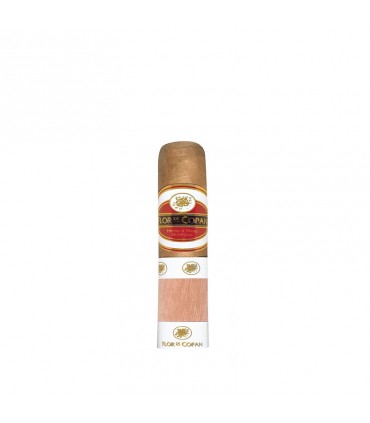 Flor de Copan Classic Short Magnum