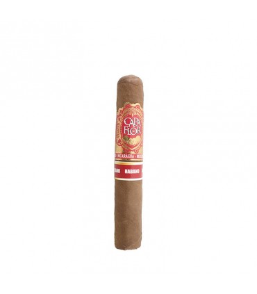 Santa Clara Capa Flor Robusto Natural