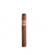 Romeo y Julieta Mille Fleurs
