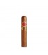 Romeo y Julieta Short Churchills
