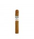 Bentley White Robusto