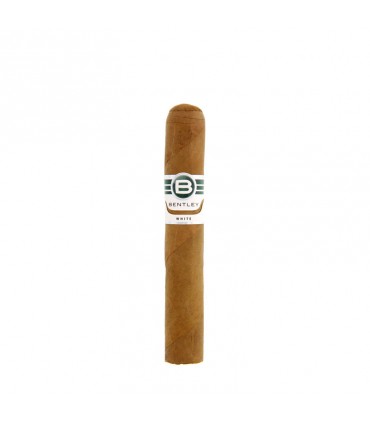 Bentley White Robusto