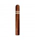RoMa Craft CroMagnon Aquitaine Cranium