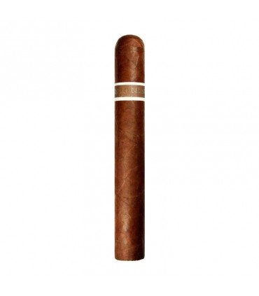 RoMa Craft CroMagnon Aquitaine Cranium