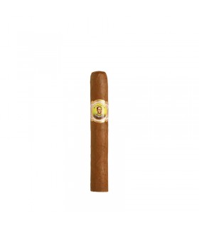 Bolivar Coronas Junior