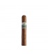 Bentley Green Corona Box 5 db