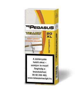 Pegasus Yellow XL 20 szál