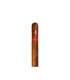 Cuba Aliados Robusto