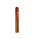 Cuba Aliados Toro