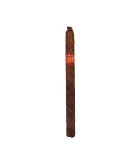 Kristoff Corojo Limitada Lancero
