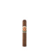 Despot J Robusto