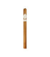 Davidoff Signature No. 1 Limited Edition 2023
