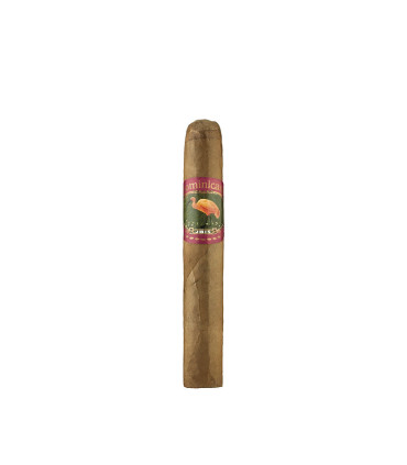 Ibis Dominican Selection Robusto