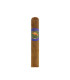 Ibis Nicaragua Robusto
