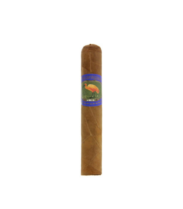 Ibis Nicaragua Robusto