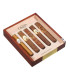 Oliva Robusto Sampler 5 szál