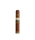 Plasencia Cosecha 151 La Música Robusto