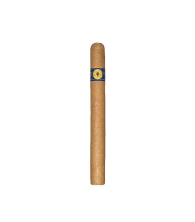 Santa Damiana Classic Churchill Tubos
