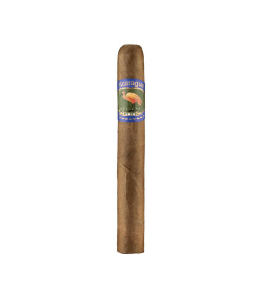 Ibis Nicaragua Toro