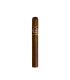 Quorum Classic Corona
