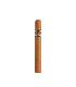 Quorum Shade Corona