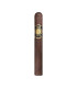 1502 Black Gold Toro