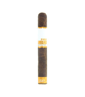 Artista Puro Ambar Legacy Grand Toro