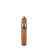 Capitol Jack Robusto