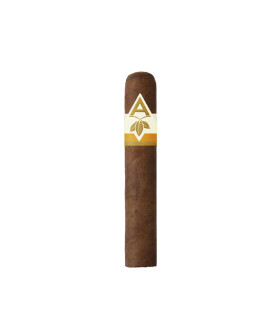 Artista Harvest Sumatra BP Robusto