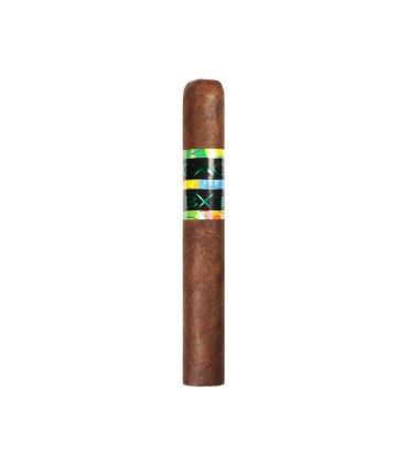 CAO BX3 Toro