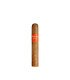 Montosa Robusto Fresh Pack 6 szál