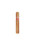New Cuba Superior Robusto