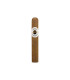 Ashton Classic Magnum