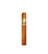 Perla del Mar Shade Toro