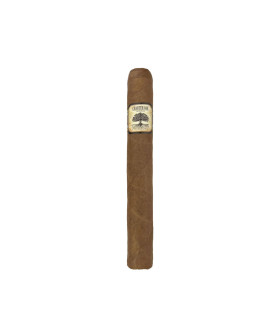 Foundation Charter Oak Original Toro