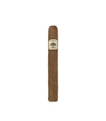 Foundation Charter Oak Original Toro