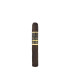 CAO Medio Tiempo Robusto