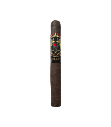 Esteban Carreras Vigilante Maduro Toro