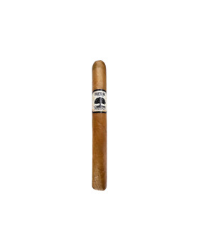 Foundation Charter Oak CT Shade Petit Corona