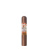 Santa Clara Aromas de San Andrés Robusto AT