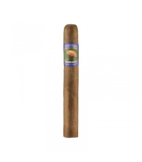 Ibis Nicaragua Toro 10 szál