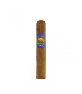 Ibis Nicaragua Robusto 10 szál