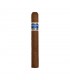 Rancho Luna Blue Toro
