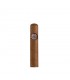 Montecristo Petit Edmundo Tub