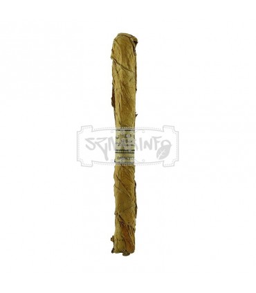 Leaf by Oscar Connecticut Lancero