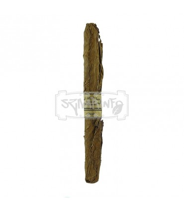 Leaf by Oscar Corojo Lancero